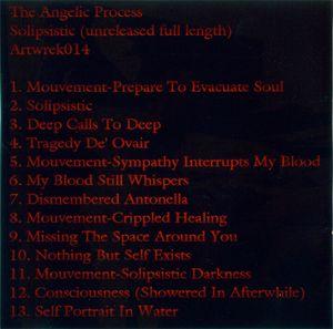 The Angelic Process - Solipsistic