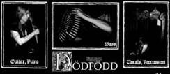 Dödfödd - Discography