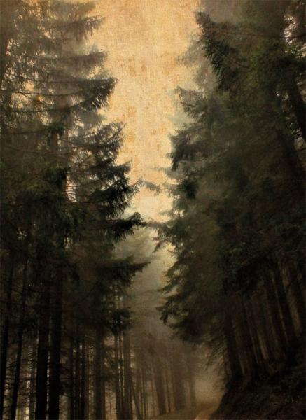 Sturmpercht & Rauhnåcht - Zur Ew'gen Ruh (Split)