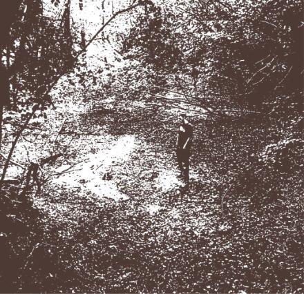 Amaranthine Trampler - Discography (2004 - 2011)