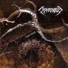 Capharnaum - Discography (1997-2004)