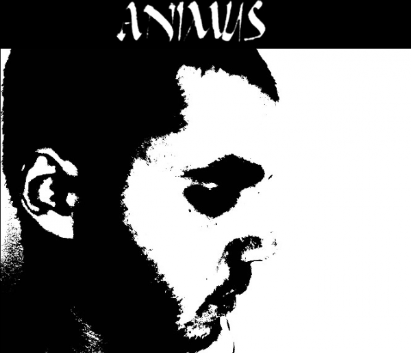 Animus - Discography
