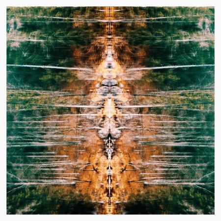 The Red Stags - Void und Wiesn (EP)