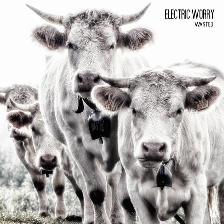Electric Worry - Discography