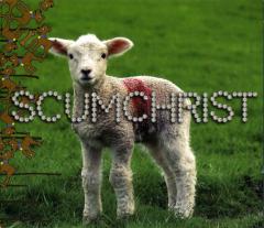 Scumchrist (Сайд-проект участников Fistula) - Discography