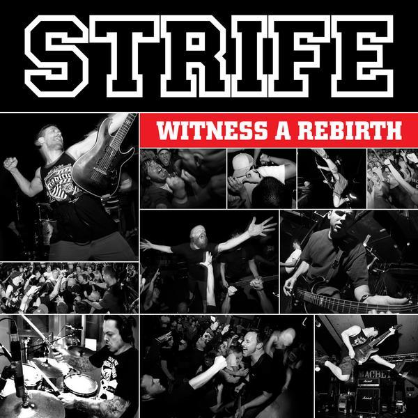 Strife - Discography (1991 - 2012)