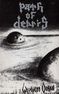 Path Of Debris - 2 Demos