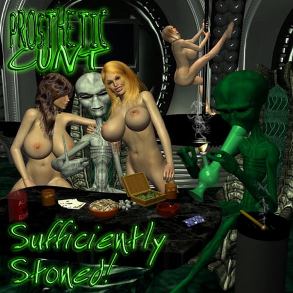 Prosthetic Cunt - Discography