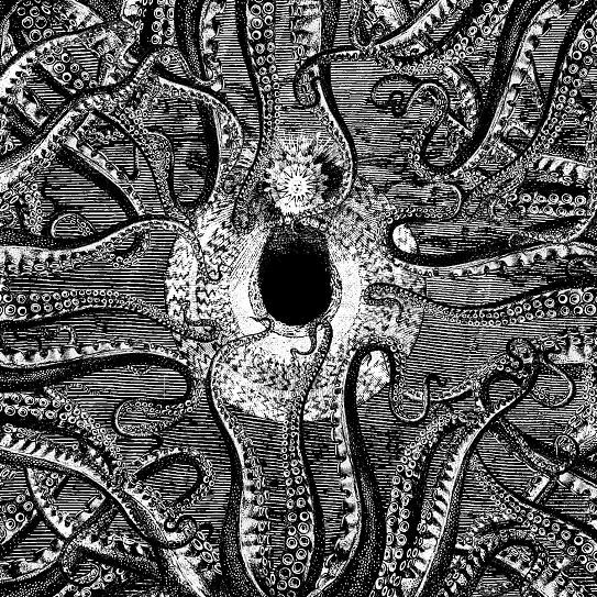 Nornahetta - The Psilocybin Tapes (Compilation)