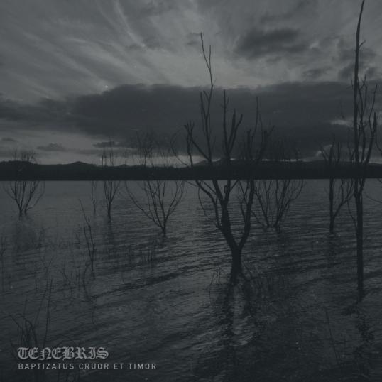 Tenebris - Discography (2015-2017)