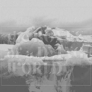 If These Trees Could Talk - The Bones of a Dying World 