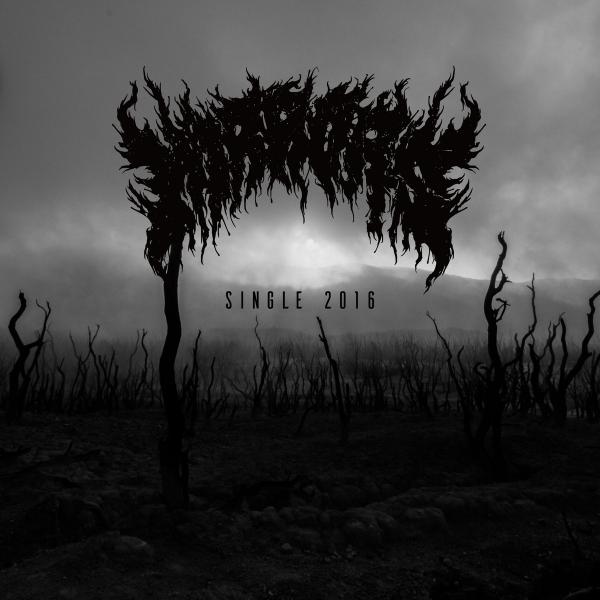 Mirrors  - Single 2016 (Single)