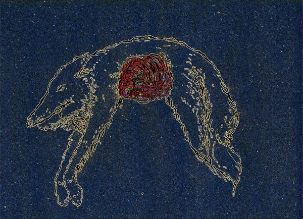 Shataan - Weigh Of The Wolf