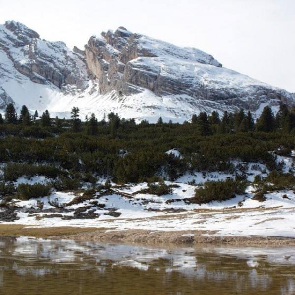 The Unchaining - Discography (2013 - 2016)