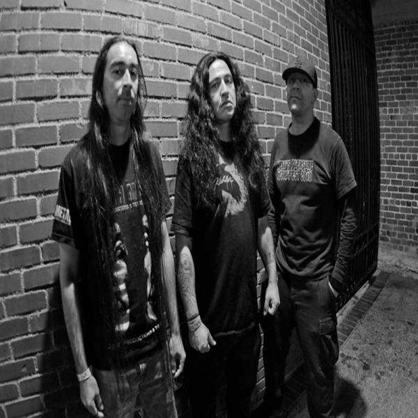 Coffin Texts  - Discography (2000 - 2012)