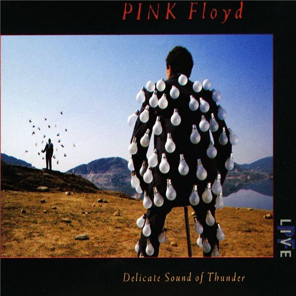 Pink Floyd - Delicate Sound of Thunder (DVD)