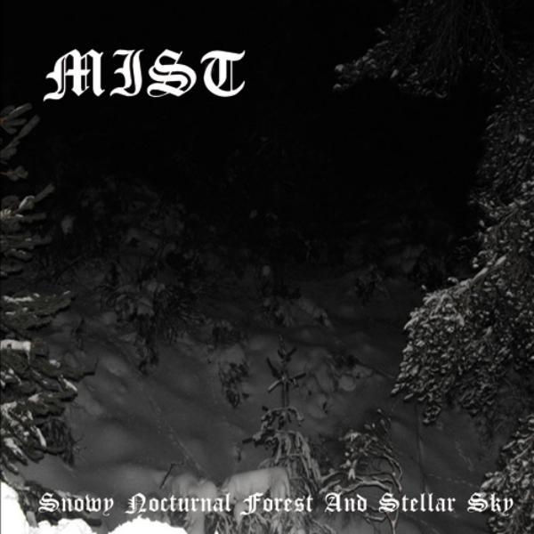 Mist  - Snowy Nocturnal Forest And Stellar Sky