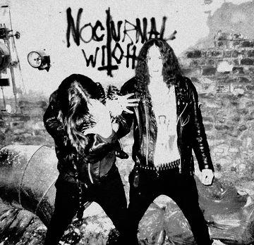 Nocturnal Witch - Discography (2010-2014)