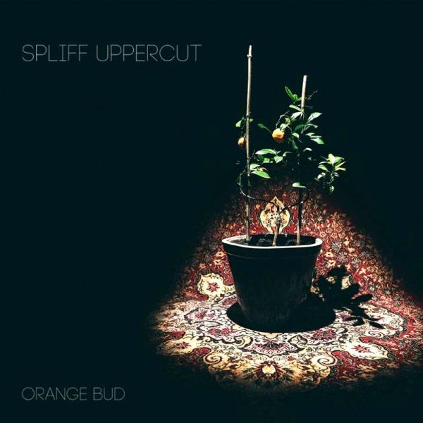 Spliff Uppercut - Orange Bud