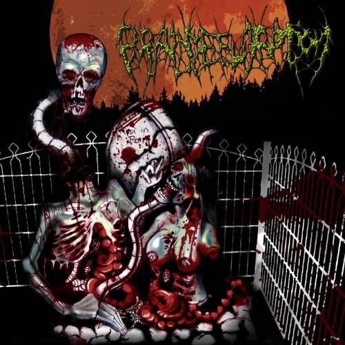 Brain Defloration - Discography