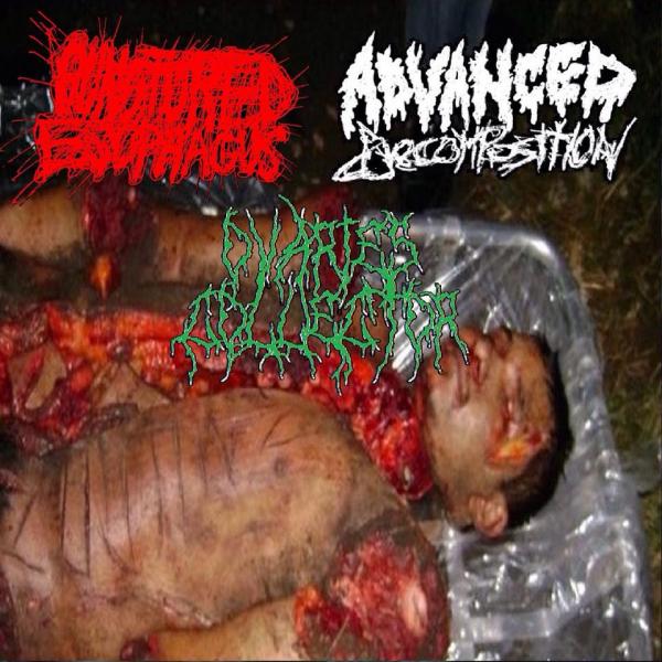 Advanced Decomposition - Discography