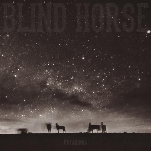 Blind Horse - Patagonia