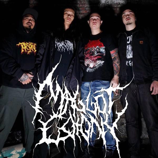 Maggot Colony - Discography (2013 - 2017)