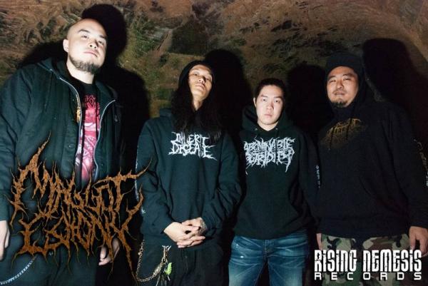 Maggot Colony - Discography (2013 - 2017)