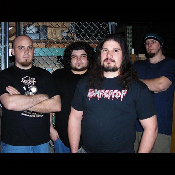 Digested Flesh - Discography (2004 - 2010)