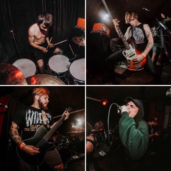 Elephants  - Sickness Before Us