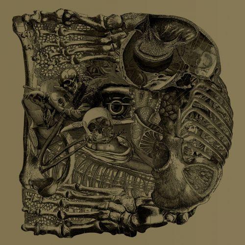 Boris - Dear (Deluxe Japanese Edition)