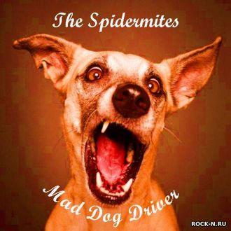 The Spidermites  - Mad Dog Driver 