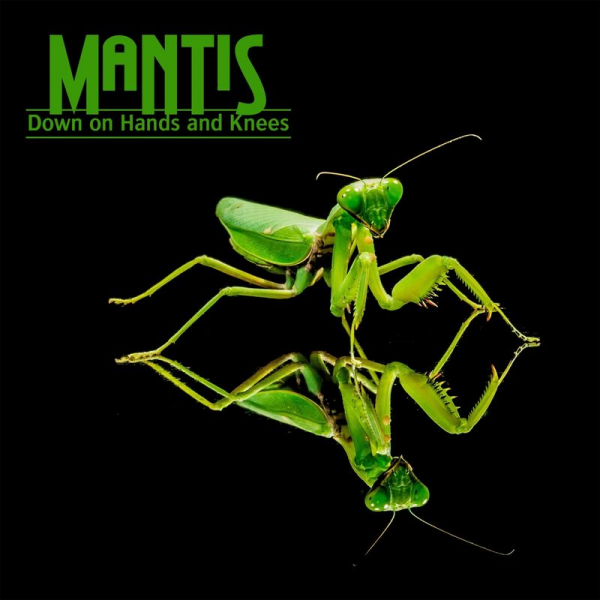 Mantis - Down On Hands And Knees