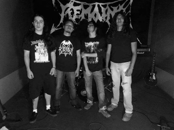 Remains - Discography (2012 - 2017)