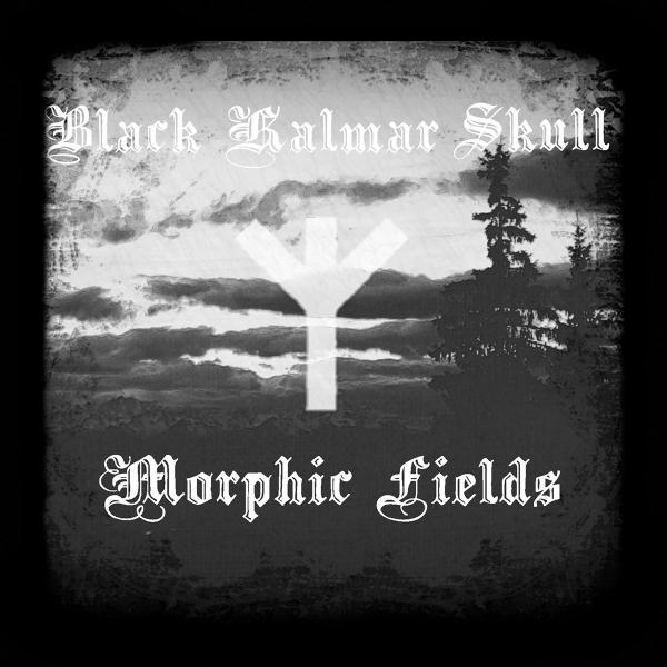 Black Kalmar Skull - Morphic Fields