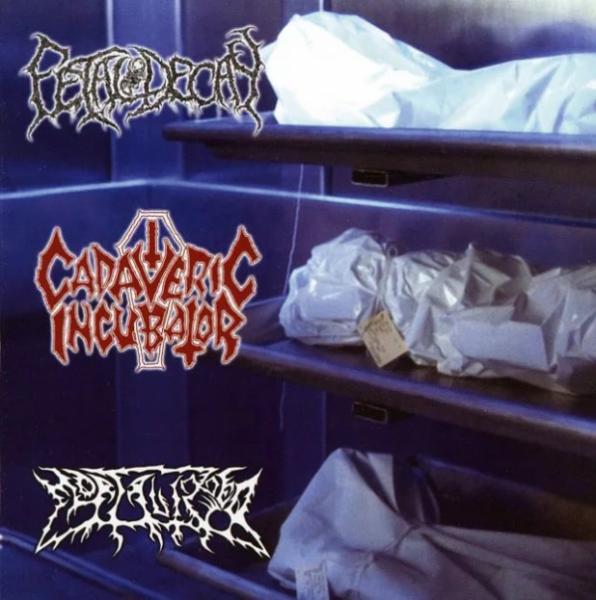 Cadaveric Incubator - Discography