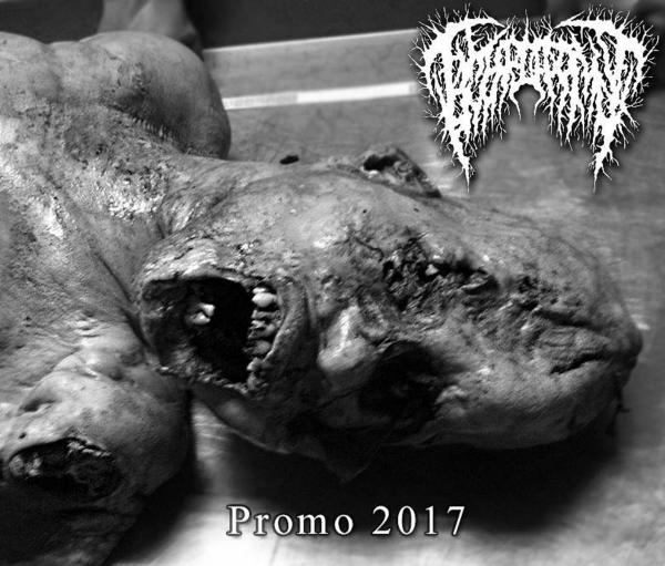 Hymenotomy - Promo