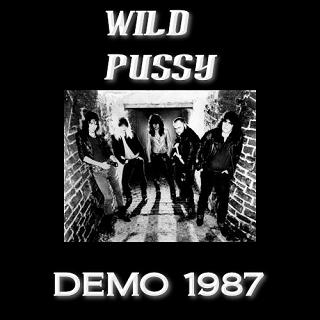 Wild Pussy - Discography