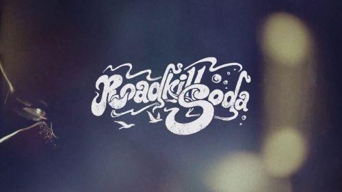 RoadkillSoda - Discography (2011-2017)
