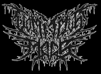 Vomitous Mass - Discography (2013 - 2017)