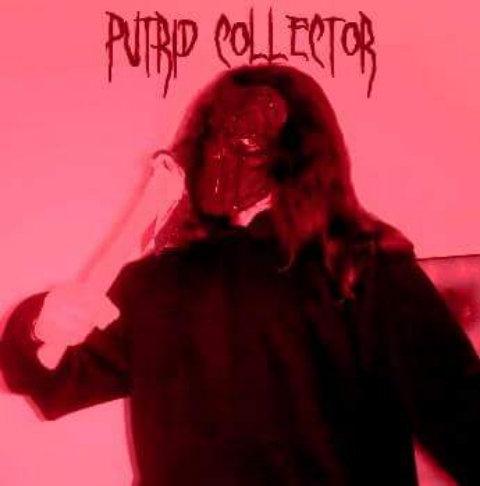 Putrid Collector - Discography (2012 - 2019)