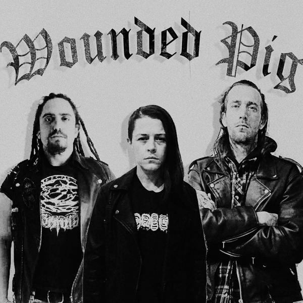 Wounded Pig - Discography (2014-2017)