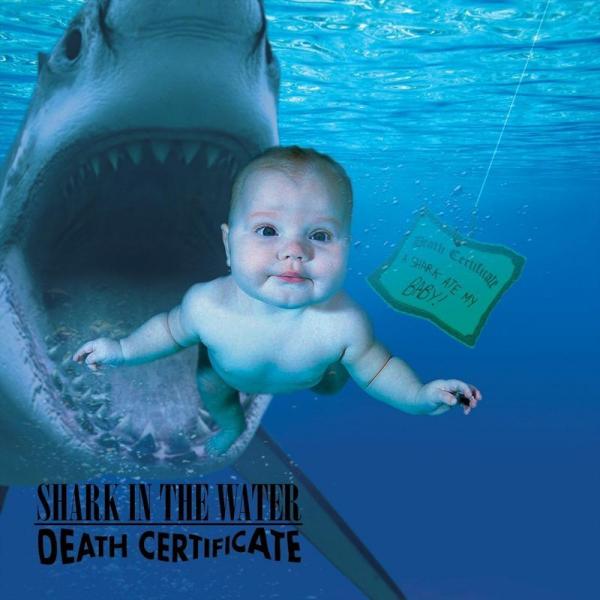 Shark in the Water - Death Certificate