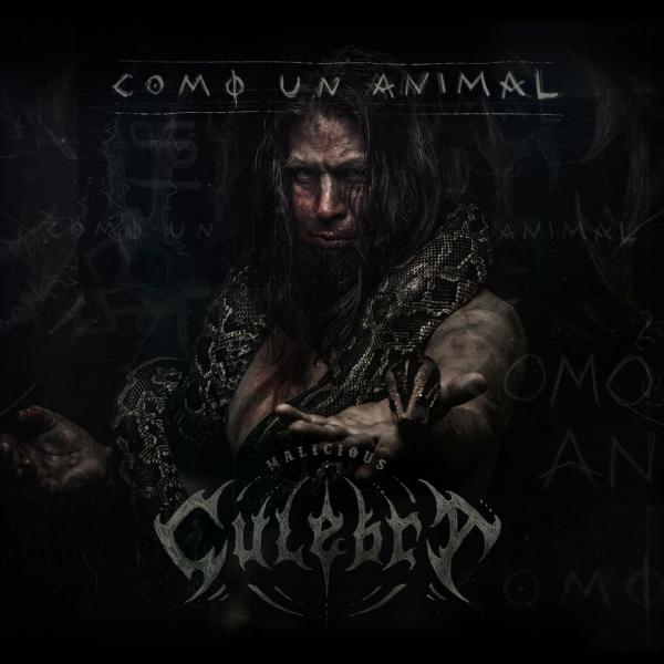 Malicious Culebra - Como Un Animal