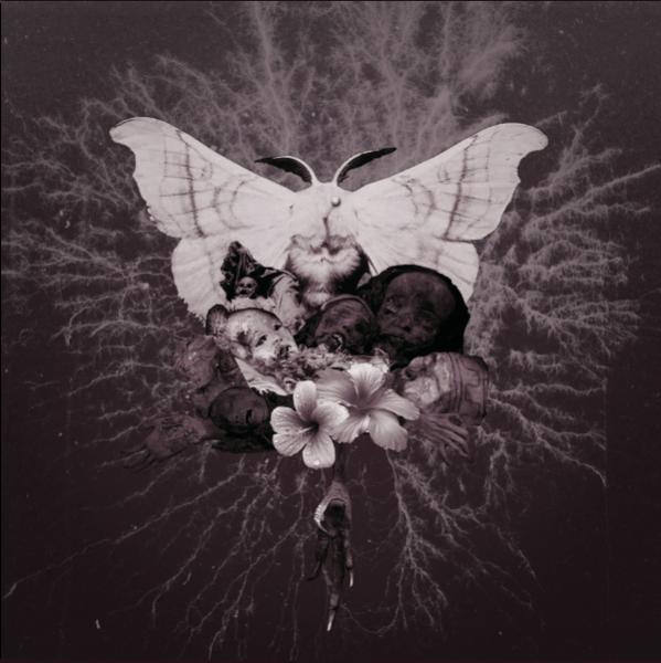 Celestial Grave - Discography (2016-2019)