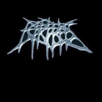 Petrified - Discography (2000 - 2011)