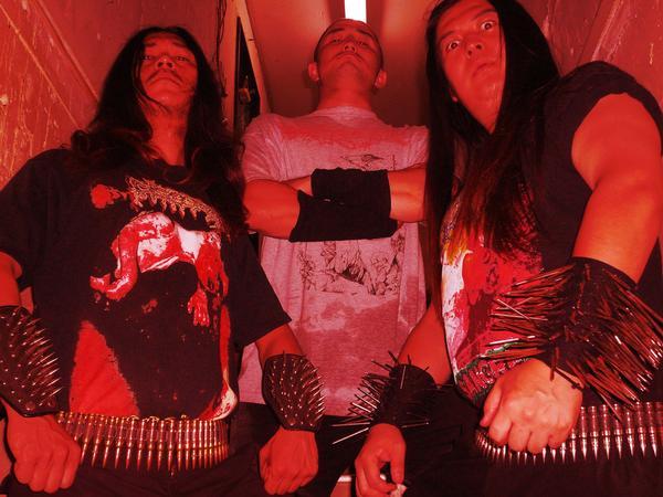 Viscera Infest - Discography (2005 - 2015)