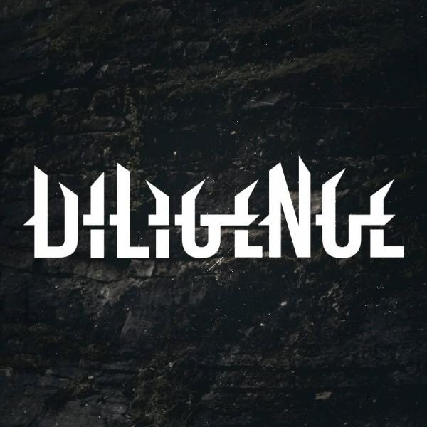 Diligence - Discography (2012 - 2018)
