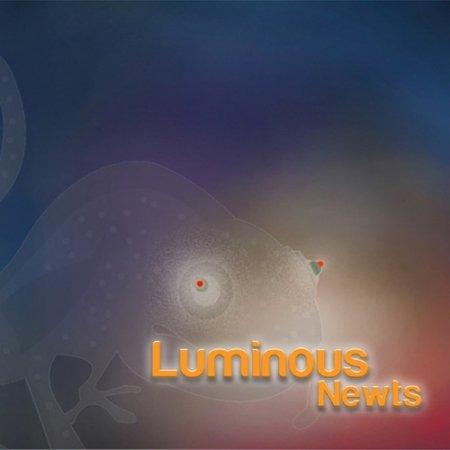Luminous Newts - Luminous Newts