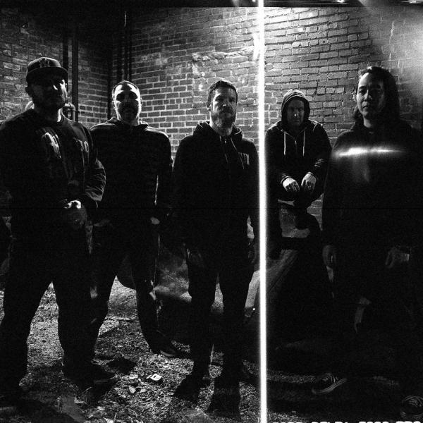 Sect - Discography (2016-2017)